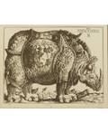 DMITRY PLAVINSKY RUSSIAN 19372012 Rhinoceros