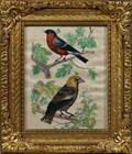 Framed Watercolor on Silk Picture of Birds