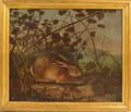 After John James Audubon American 17851851 Portrait of a Rabbit