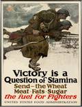 HARVEY THOMAS DUNN USFA PROPAGANDA POSTER 1917