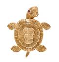 A 14 Karat Yellow Gold and Ruby Articulated Turtle Brooch