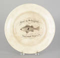 Staffordshire transfer decorated plate of Pennsylvania interest 19th c