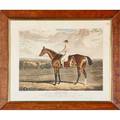 Group of equestrian prints