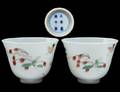 FINE AND RARE PAIR OF CHINESE FAMILLE VERTE CUPS