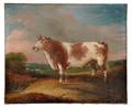 AngloAmerican School Late 19th Century Portrait of a Bull