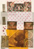 Robert Rauschenberg American 19252008 Cage
