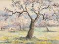 Paulmile Pissarro French 18841972 Arbor en Flor