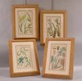 Eight Framed Handcolored Floralthemed Engravings