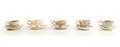 Collection of 5 Fine Porcelain Cups  Saucers