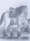Fernando Botero Estudio Horse Graphite on Paper