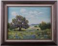 Irene Klein Texas Bluebonnet Oil on Canvas Board