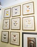 ZAPPA GROUP OF EIGHT BUTTERFLY PRINTS
