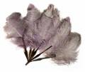 MARILYN MONROE PURPLE MARABOU FEATHER FAN