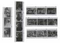 MARILYN MONROE JOE DIMAGGIO NEGATIVES