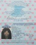 VINNIE VINCENT PASSPORT