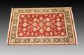 Hand Woven Jaipur Brahma Area Rug