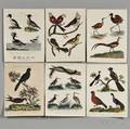 Bird Prints Nineteen