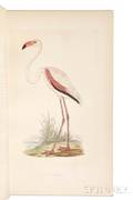 Bree Charles Robert 18111886 A History of the Birds of Europe Not Observed in the British Isles