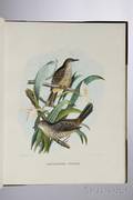 Elliot Daniel Giraud 18351915 The New and Heretofore Unfigured Species of the Birds of North America