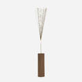 Harry Bertoia   Untitled Dandelion Fragment