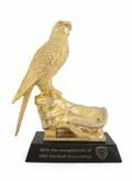 PEL UAE FOOTBALL ASSOCIATION FALCON TROPHY