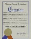 PEL APRIL 18 2015 NASSAU COUNTY LEGISLATURE CERTIFICATE