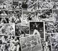 BEARS DOLPHINS CHIEFS OILERS PACKERS FOOTBALL PHOTOGRAPHS GROUP