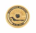 2014 SOCHI WINTER OLYMPICS METEORITEEMBEDDED GOLD MEDAL