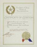 PEL STATE OF TEXAS CERTIFICATE