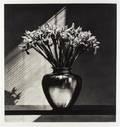 Robert Mapplethorpe