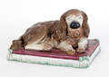 Large Staffordshire figure of a King Charles spaniel 19th c