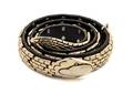 An Unlabeled Goldtone Snake Belt