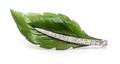 A Platinum Jade and Diamond Leaf Motif Brooch