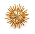 A Yellow Gold Starburst Brooch