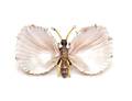 A Gold Enamel Pearl and Seashell Butterfly Brooch Federico and Ferdinando Giuliano Circa 1890