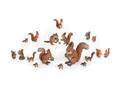 Approximately twentyfour Austrian cold painted bronze squirrels