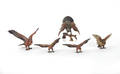 Five Austrian cold painted bronze hawks