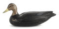 Black duck hollow body decoy