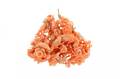 Hand Carved Coral Pendant with Birds  Flowers