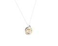 Ladies 14K 2Tone Gold  Diamond Pendant Necklace