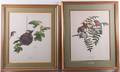 Ray Harm Framed Wildlife Art Pair