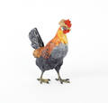 Austrian cold painted bronze rooster figure
