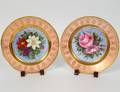 PAIR OF ENGLISH PORCELAIN BOTANICAL PLATES