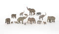 Fifteen Austrian cold painted bronze elephants