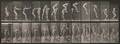 Eadweard Muybridge British 18301904 Plate 166 Leapfrog from Animal Locomotion