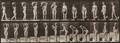 Eadweard Muybridge British 18301904 Two Plates from Animal Locomotion  Plate 46 Woman with Fan