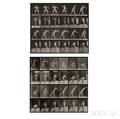 Eadweard Muybridge British 18301904 Two Plates from Animal Locomotion  Plate 286 Man Throwing a Baseball
