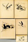 Else W von Roeder Bostelmann GermanAmerican 20th Century Five Illustrations Canada Geese in Flight Starfish Three Fish Shorebi
