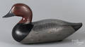 Carved and painted redhead duck decoy