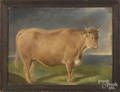Pastel of a prize bull